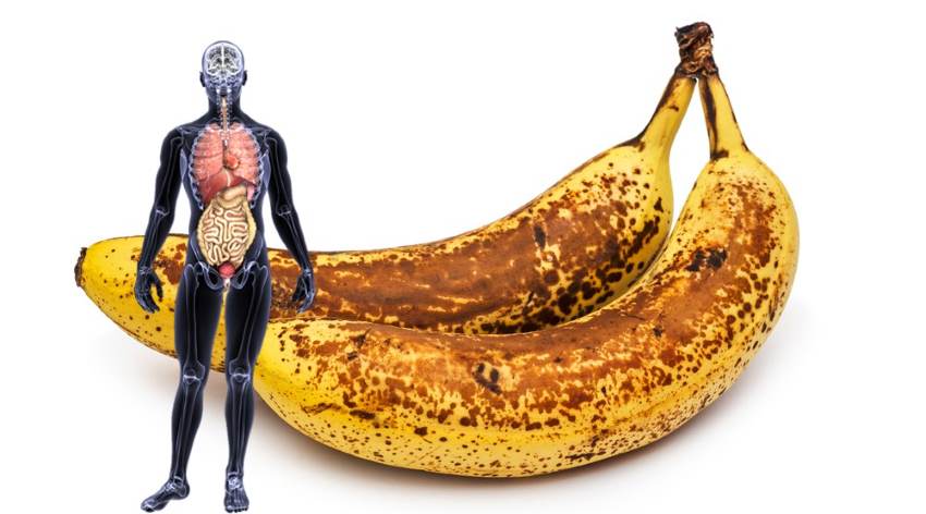 Did you know that if you eat a banana every day, your body can...